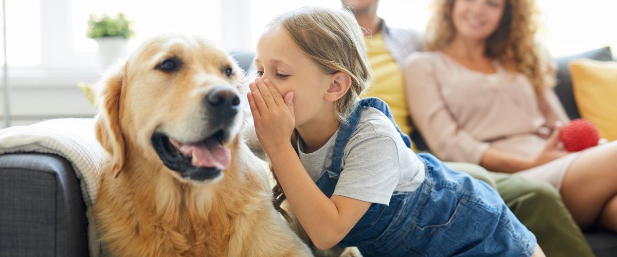 犬と猫とCBDの画像